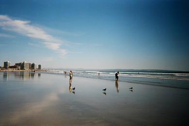 Sandee - Coronado Shores Beach