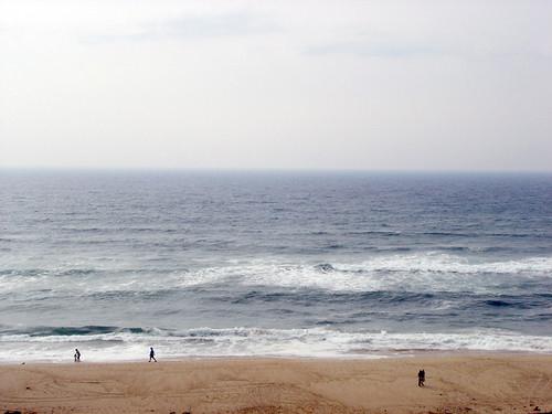 Wavecrest Beach  USA,California,Carmel By The Sea