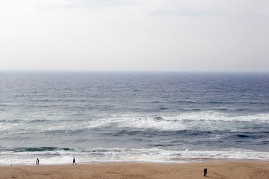 Sandee Wavecrest Beach Photo