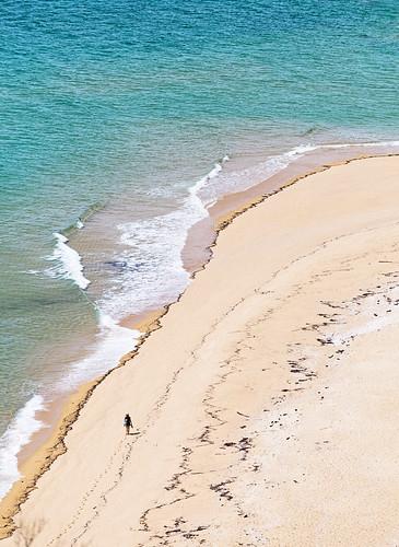 Sandee - Anchor Bay Beach