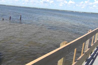 Sandee Seaside Park 14th Ave Beach Photo