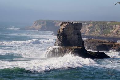 Sandee Landing Cove Photo