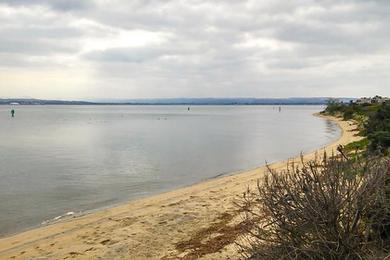 Sandee Grand Caribe Shoreline Park Photo