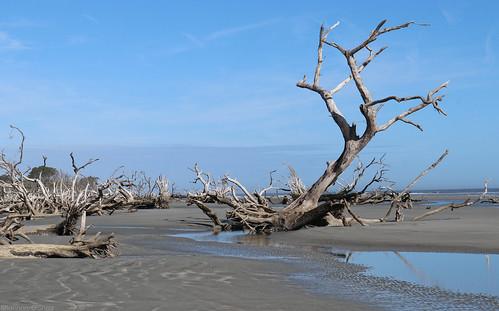 Sandee - Boneyard Beach