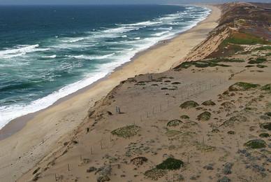 Sandee Ft Ord Beach Photo