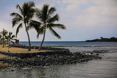 Sandee Lava Wall Beach