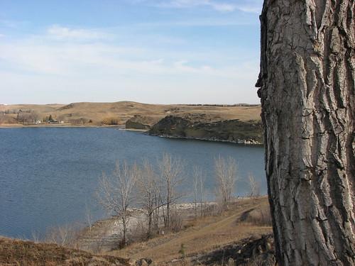 Sandee Lake Tschida