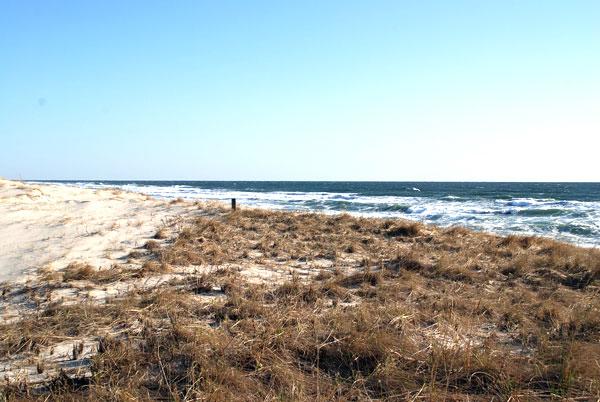 Sandee - Island Beach Motor Lodge