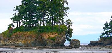 Sandee Sequim Bay State Park