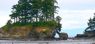 Sandee Sequim Bay State Park Photo