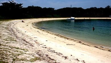 Sandee Lazarus Island & Pulau Seringat