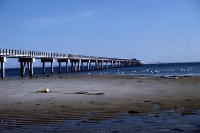 Sandee Coast Guard Pier Photo