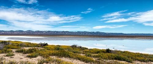 Sandee - Soda Lake Beach