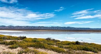 Sandee - Soda Lake Beach