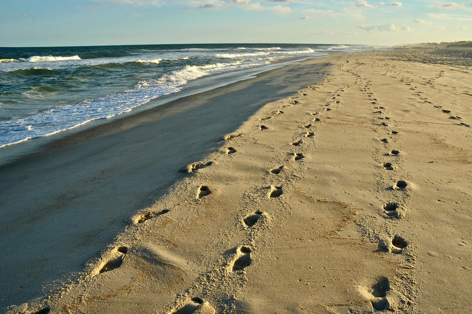 Sandee - Ship Bottom Beach