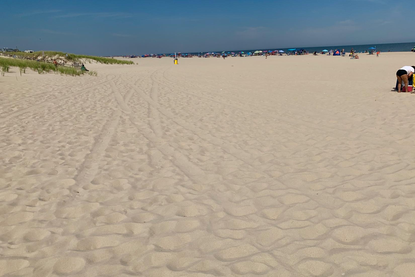 Sandee - Ship Bottom Beach