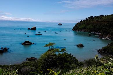 Sandee Lookout County Park Photo