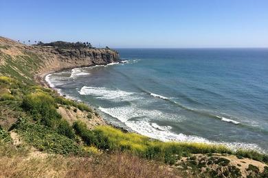 Sandee - Point San Pedro Beach