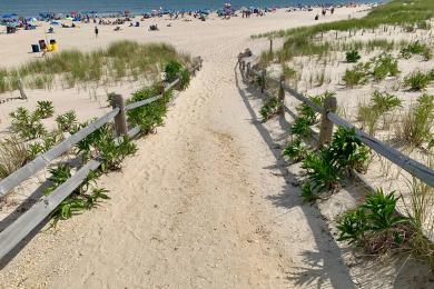 Sandee Ship Bottom Beach Photo