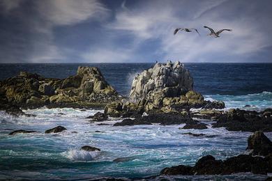 Sandee Pelican Bay State Beach Photo