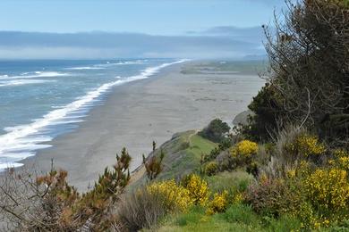 Sandee Crab Park Beach