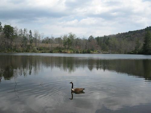 Sandee - Roberts Lake