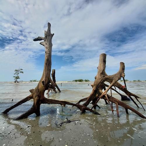 Sandee Pantai Cunang