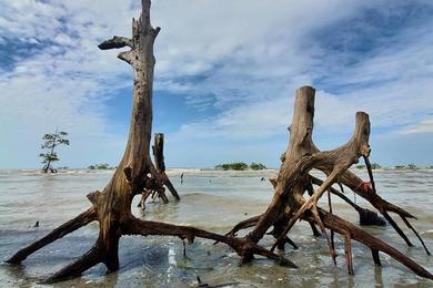 Sandee Pantai Cunang Photo