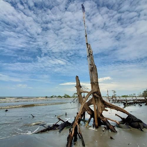 Sandee - Pantai Cunang