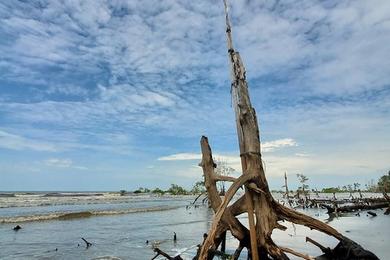 Sandee - Pantai Cunang