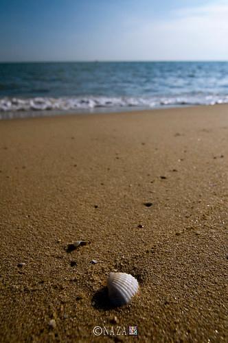 Sandee Teluk Batik Beach Photo