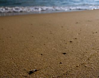 Sandee Teluk Batik Beach
