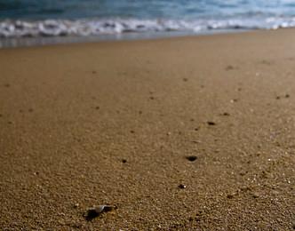 Sandee Teluk Batik Beach Photo