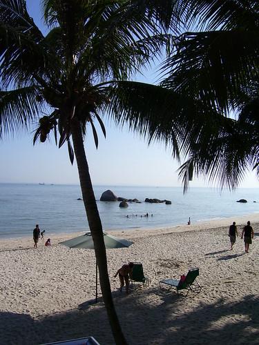 Sandee - Tanjung Bungah Beach