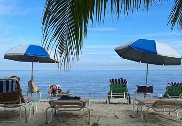 Sandee - Tanjung Bungah Beach