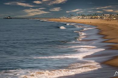 Sandee Newport Sand Beach
