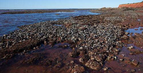 Sandee - Kinlock Beach