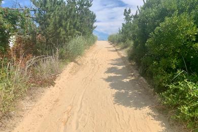 Sandee - Surf City Beach