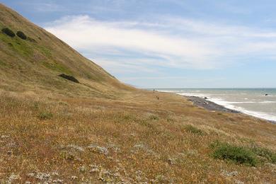 Sandee Spanish Flat On The Lost Coast Trail Photo