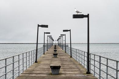 Sandee Harbor Point Boardwalk Photo