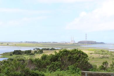 Sandee Elkhorn Slough National Estuarine Research Reserve