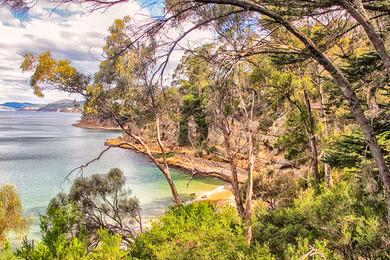 Sandee South Blue Gum Beach Photo