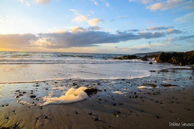 Sandee - Ardwell Bay Beach