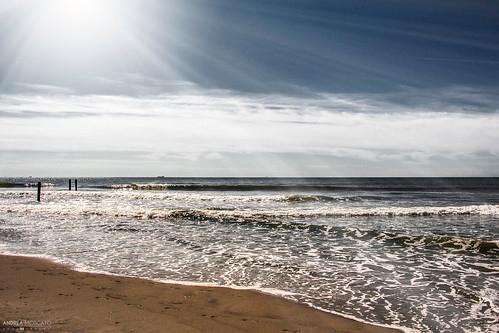 Sandee Sand City Beach Photo