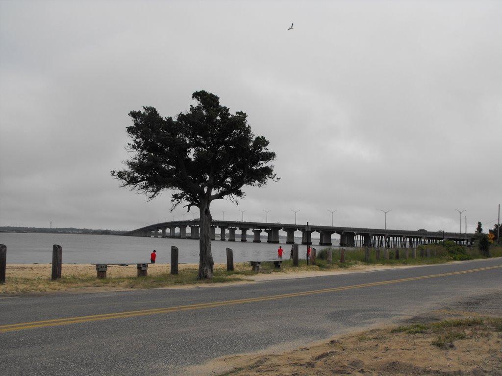 Sandee - Beesley's Point Beach