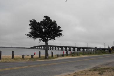 Sandee Beesley's Point Beach Photo