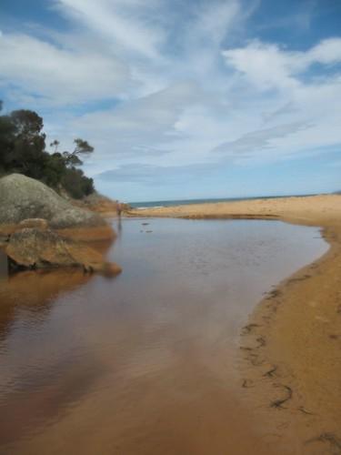 Sandee - Elm Grove Beach