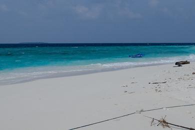 Sandee Holhudhoo