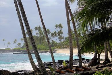 Sandee Samoa Beach Photo