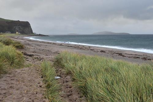 Sandee - Carskey Bay Beach